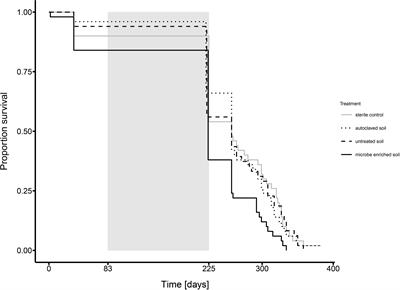 Balancing Life History Investment Decisions in Founding Ant Queens